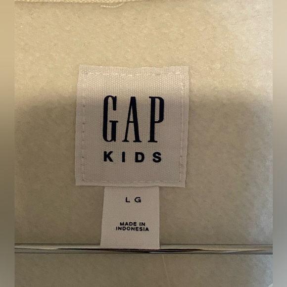 NWT Kids GAP Kids Hoodie Sweatshirt Size L (10 YRS) - Picture 2 of 4